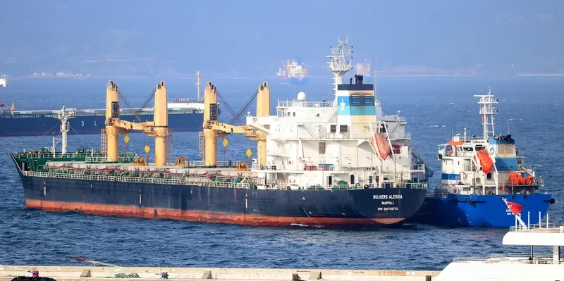 GLOBAL HARMONY Bulk Carrier IMO 9473573