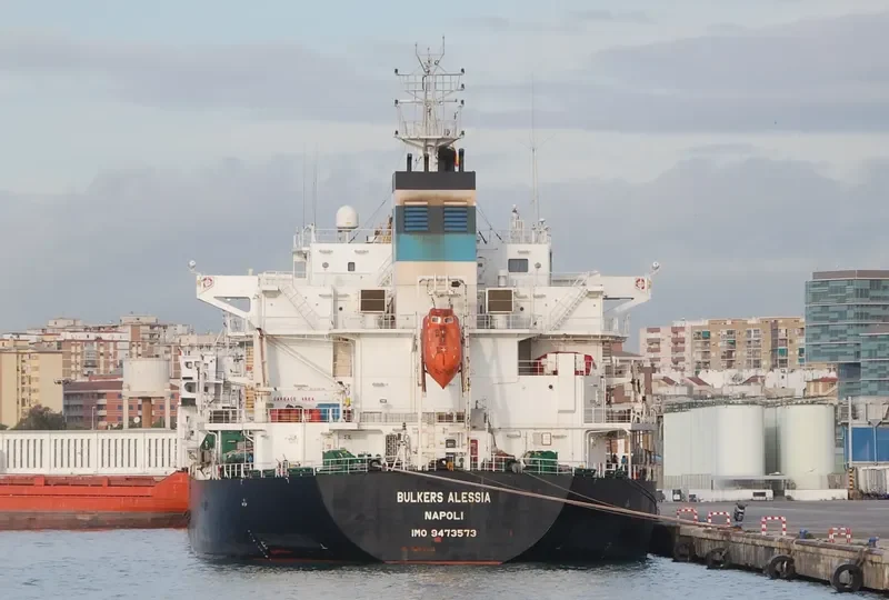 GLOBAL HARMONY Bulk Carrier IMO 9473573 photo 3