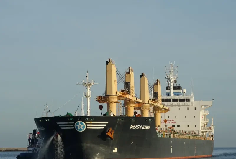 GLOBAL HARMONY Bulk Carrier IMO 9473573 photo 7