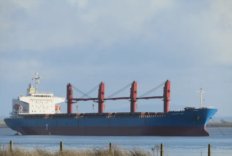 DALLY Bulk Carrier IMO 9473597 photo 5