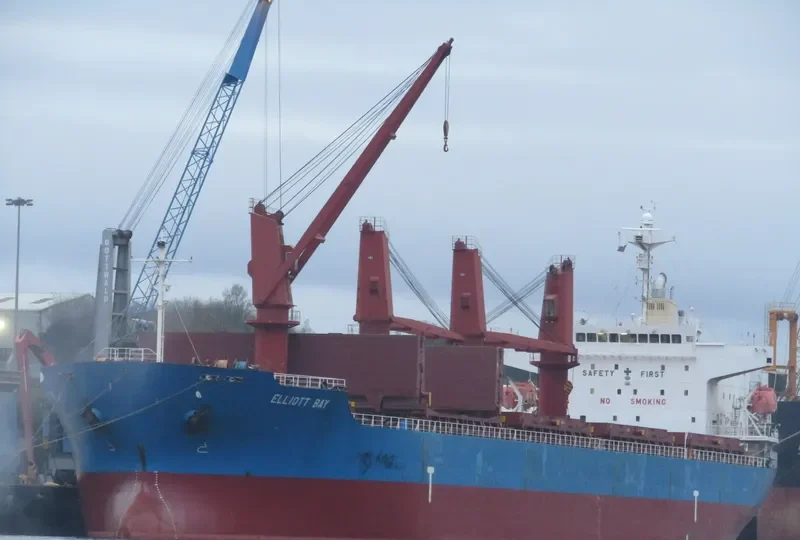 DALLY Bulk Carrier IMO 9473597 photo 6