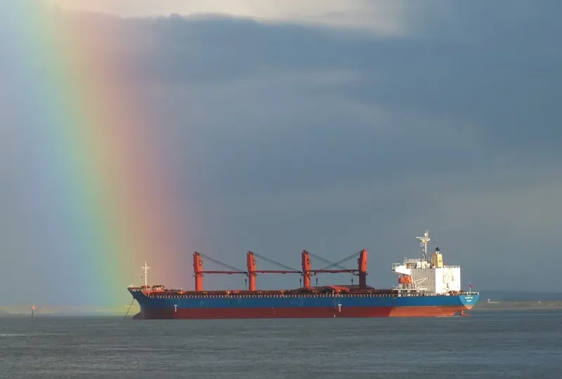 DALLY Bulk Carrier IMO 9473597 photo 7