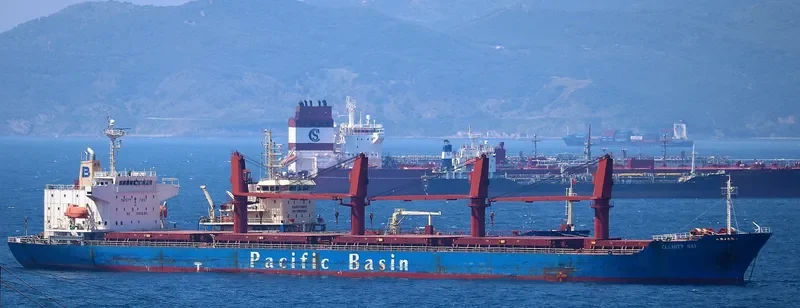 DALLY Bulk Carrier IMO 9473597 photo 9