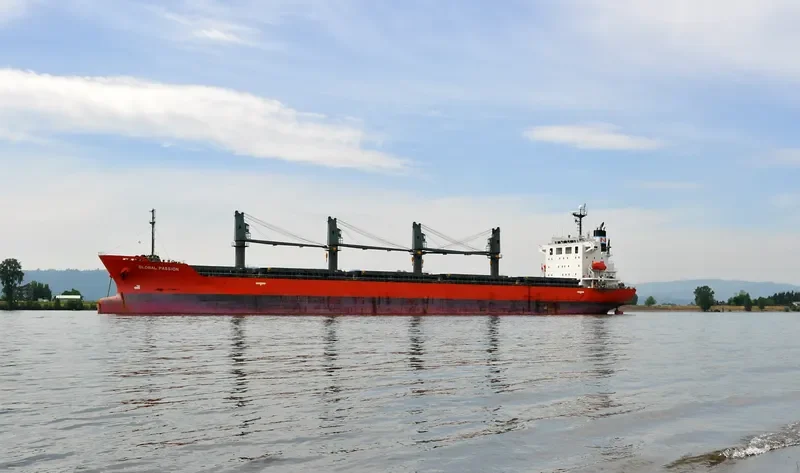 PROPEL PASSION Bulk Carrier IMO 9473676 photo 7