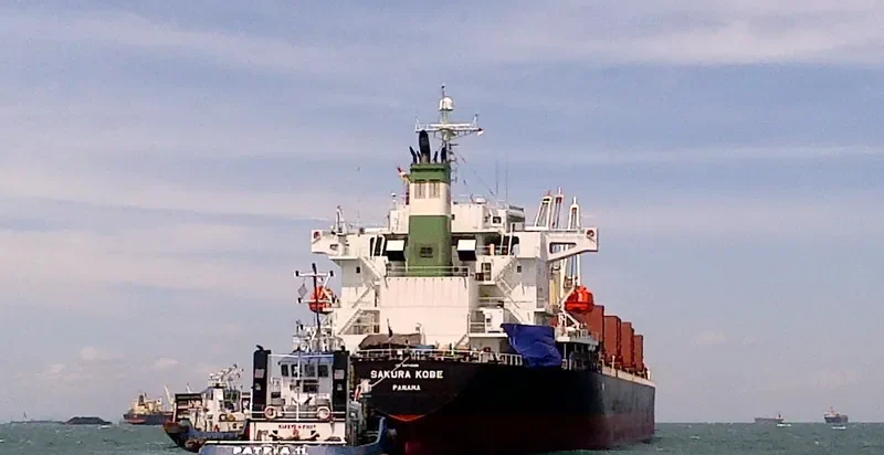 SAKURA KOBE Bulk Carrier IMO 9473688