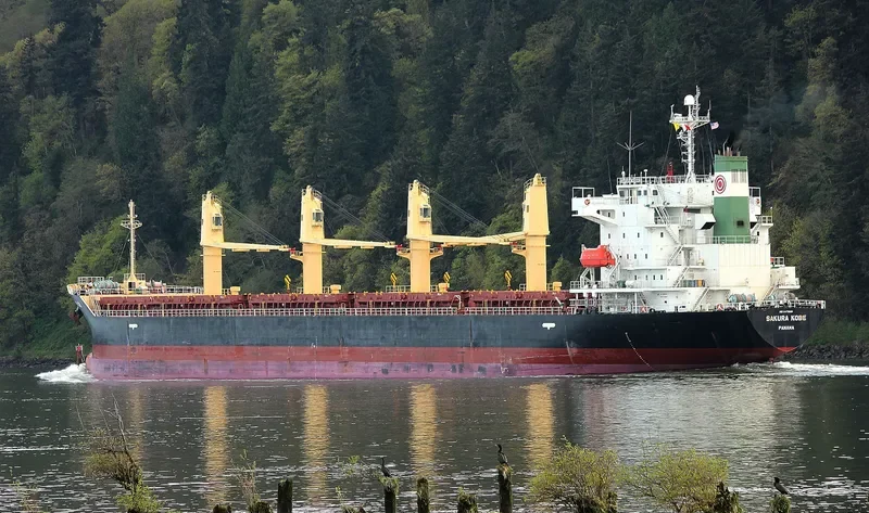 SAKURA KOBE Bulk Carrier IMO 9473688 photo 9