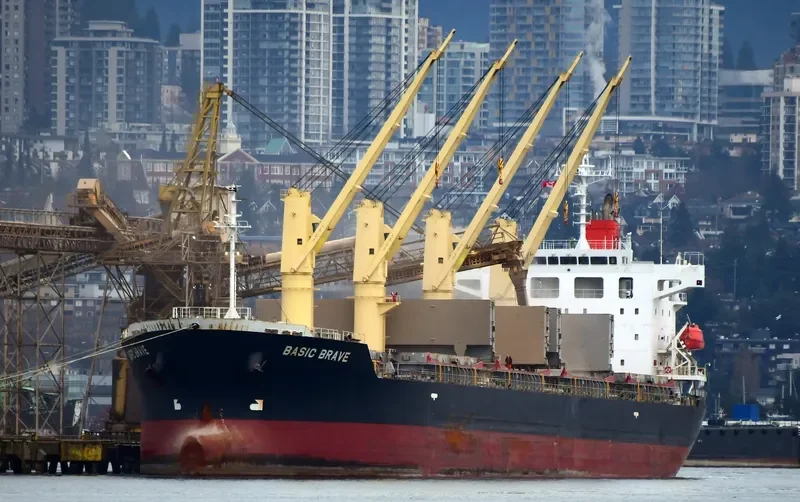 BASIC BRAVE Bulk Carrier IMO 9473690 photo 3