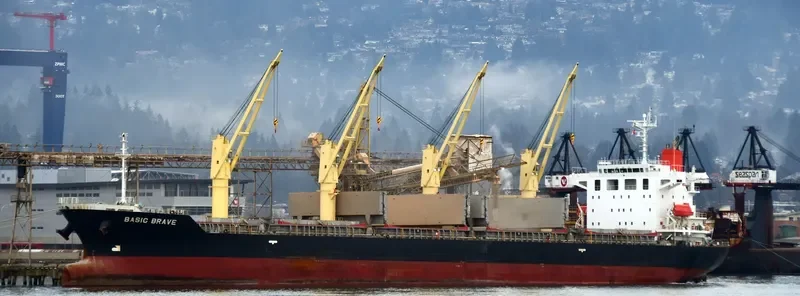 BASIC BRAVE Bulk Carrier IMO 9473690 photo 4