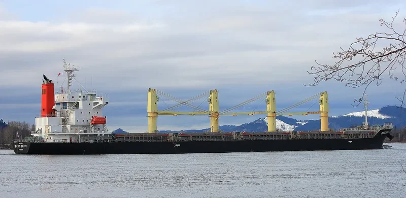 BASIC BRAVE Bulk Carrier IMO 9473690 photo 7