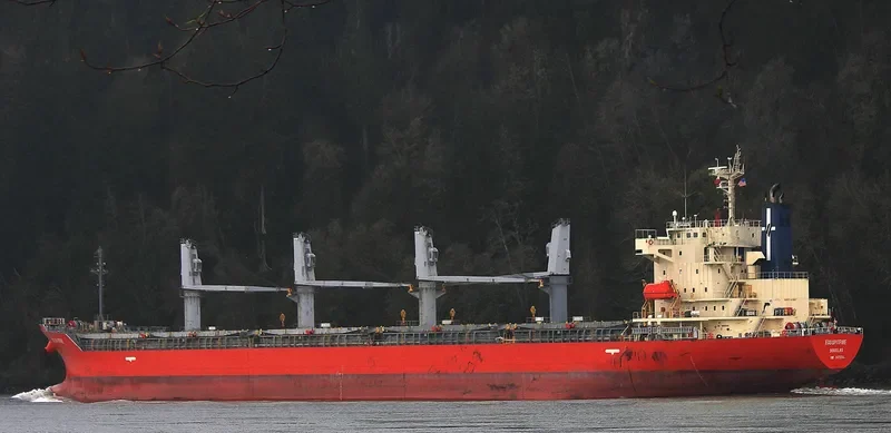 NEPTULUS Bulk Carrier IMO 9473705 photo 3