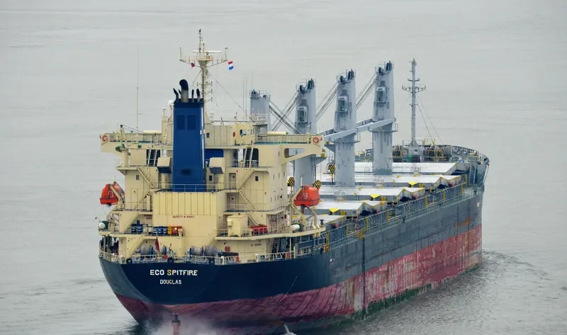 NEPTULUS Bulk Carrier IMO 9473705 photo 8