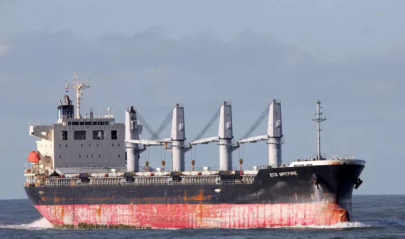 NEPTULUS Bulk Carrier IMO 9473705 photo 9