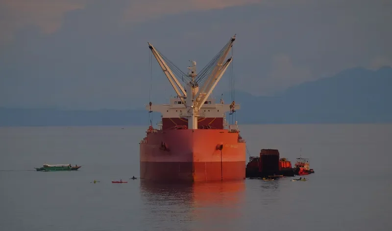 IVY ALLIANCE Bulk Carrier IMO 9473834