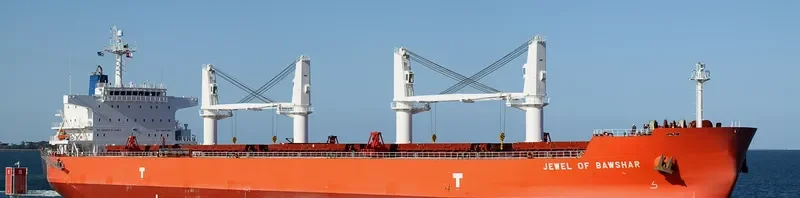 IVY ALLIANCE Bulk Carrier IMO 9473834 photo 9
