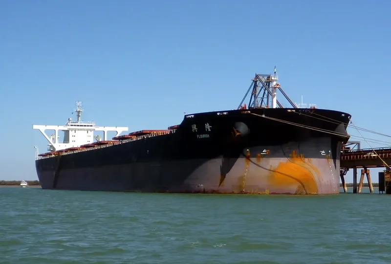 FLOURISH Bulk Carrier IMO 9474010 photo 2