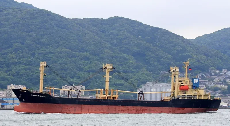 BANGSAOTONG General Cargo IMO 9474113 photo 3