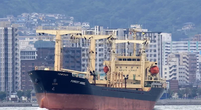 BANGSAOTONG General Cargo IMO 9474113 photo 4