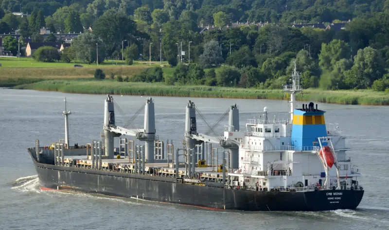 MIREILLE SELMER Bulk Carrier IMO 9474199