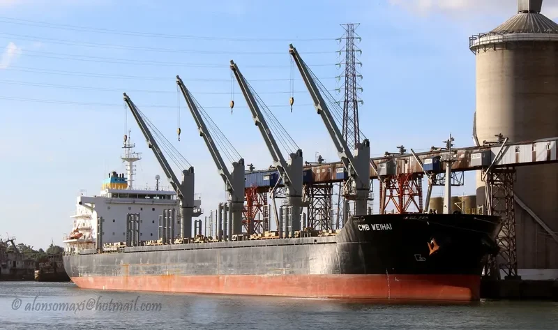 MIREILLE SELMER Bulk Carrier IMO 9474199 photo 9