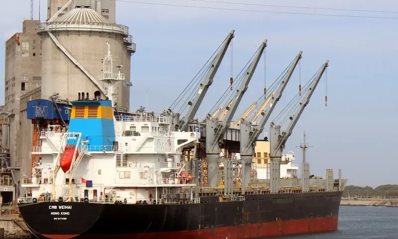 MIREILLE SELMER Bulk Carrier IMO 9474199 photo 10