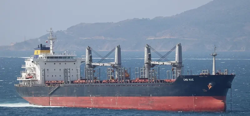 COYOTE Bulk Carrier IMO 9474216