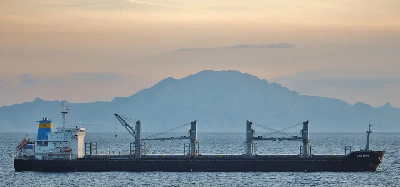 JAKOB SELMER Bulk Carrier IMO 9474228
