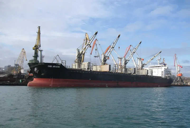 BIRTE SELMER Bulk Carrier IMO 9474254