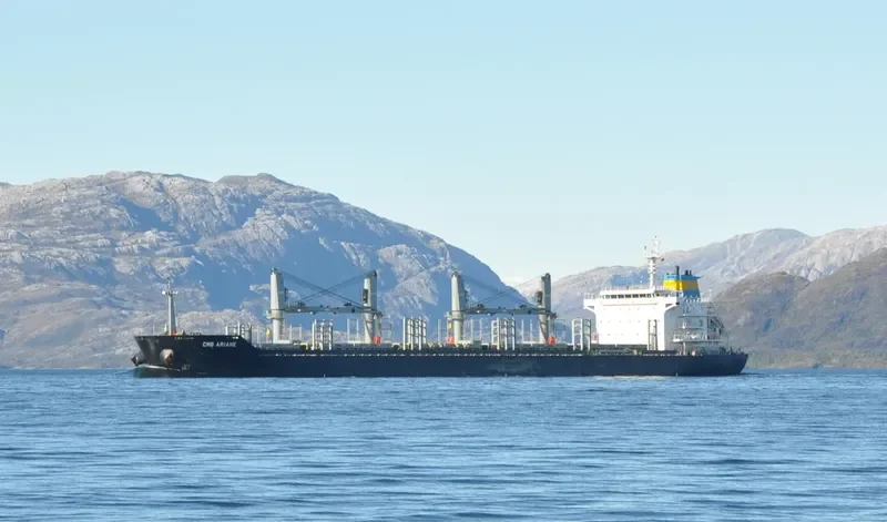 BIRTE SELMER Bulk Carrier IMO 9474254 photo 3