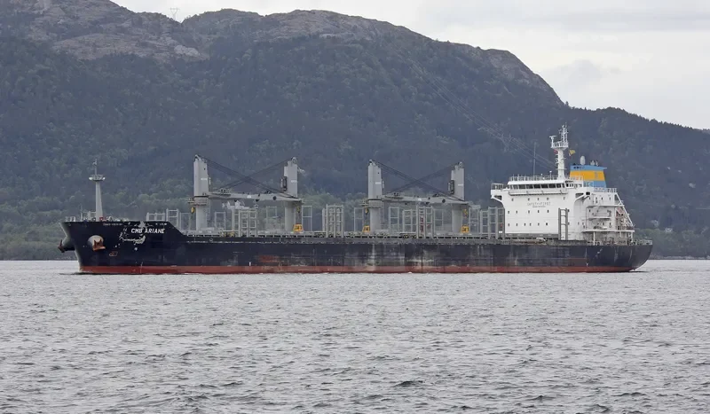 BIRTE SELMER Bulk Carrier IMO 9474254 photo 4