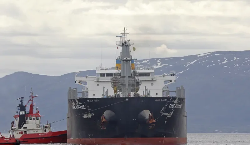 BIRTE SELMER Bulk Carrier IMO 9474254 photo 7