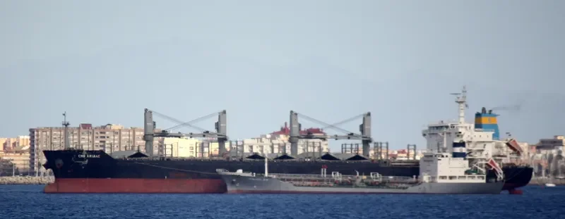 BIRTE SELMER Bulk Carrier IMO 9474254 photo 9