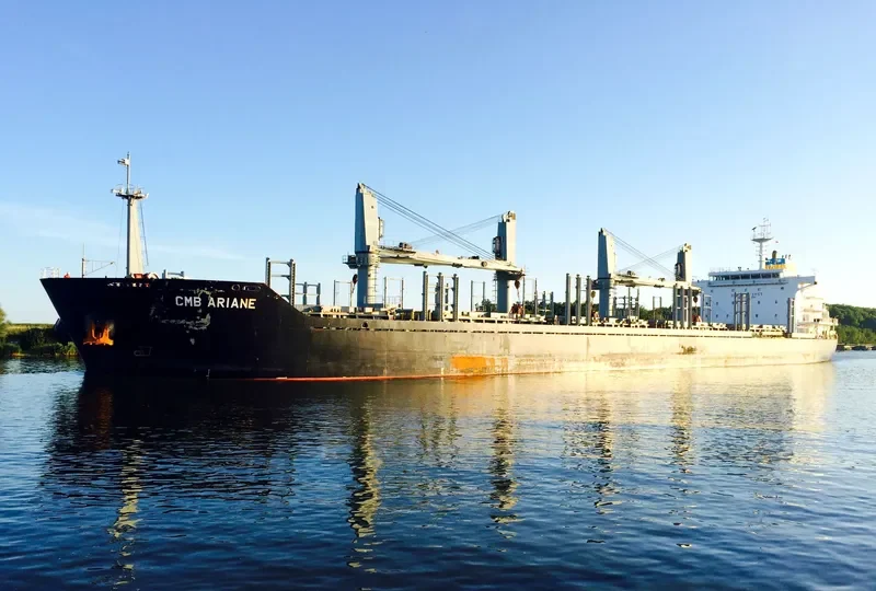 BIRTE SELMER Bulk Carrier IMO 9474254 photo 10