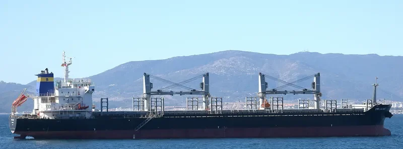 CAROLINE SELMER Bulk Carrier IMO 9474266 photo 6