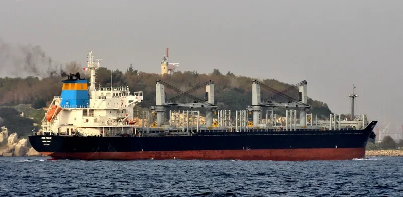 LENI SELMER Bulk Carrier IMO 9474280