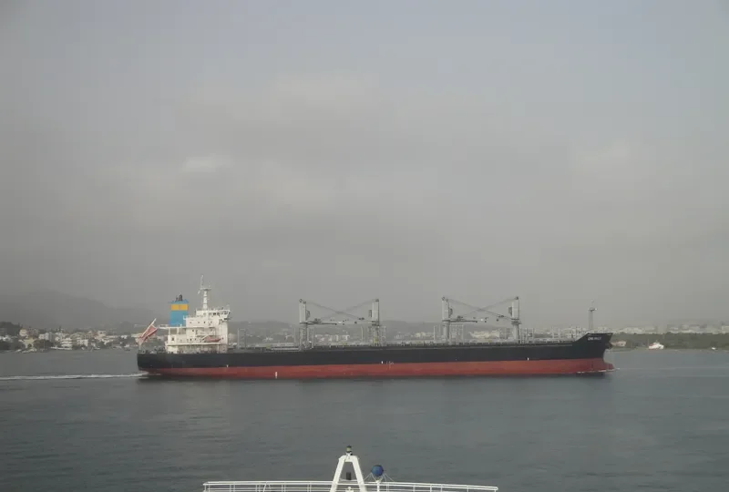 LENI SELMER Bulk Carrier IMO 9474280 photo 8
