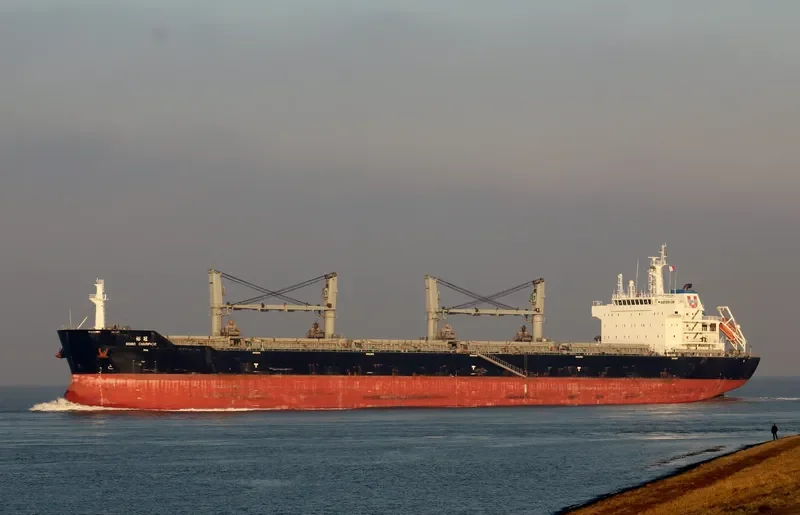 ASIAN CHAMPION Bulk Carrier IMO 9474656 photo 2