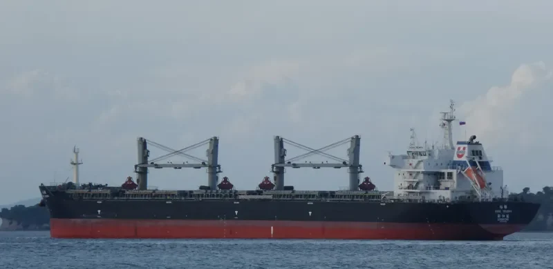ASIAN TRIUMPH Bulk Carrier IMO 9474668 photo 6