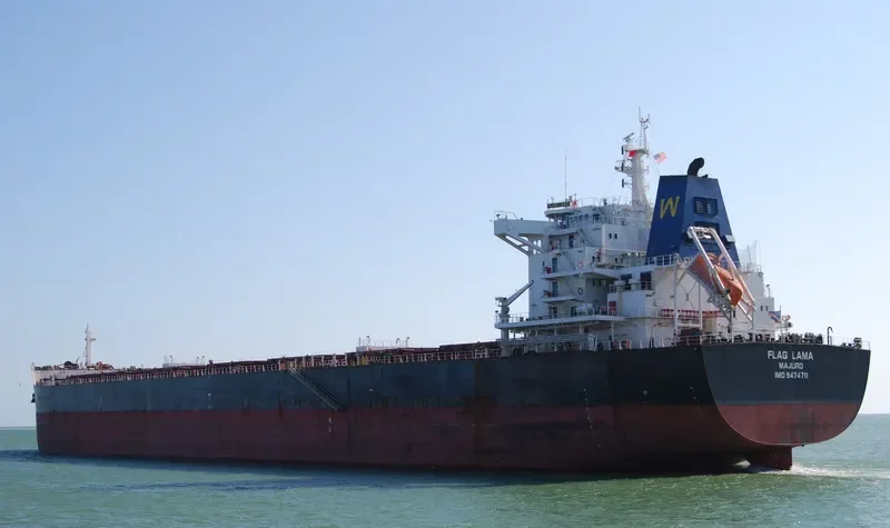 FLAG LAMA Bulk Carrier IMO 9474711 photo 3