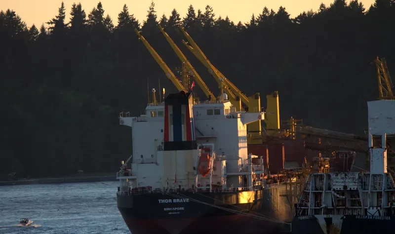 THOR BRAVE Bulk Carrier IMO 9474797 photo 4