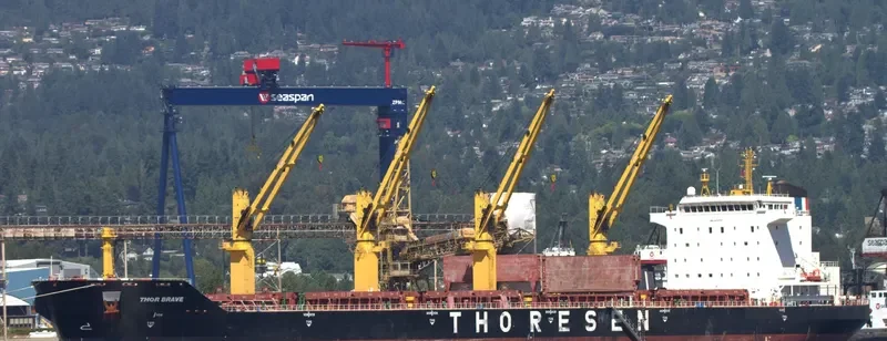THOR BRAVE Bulk Carrier IMO 9474797 photo 5