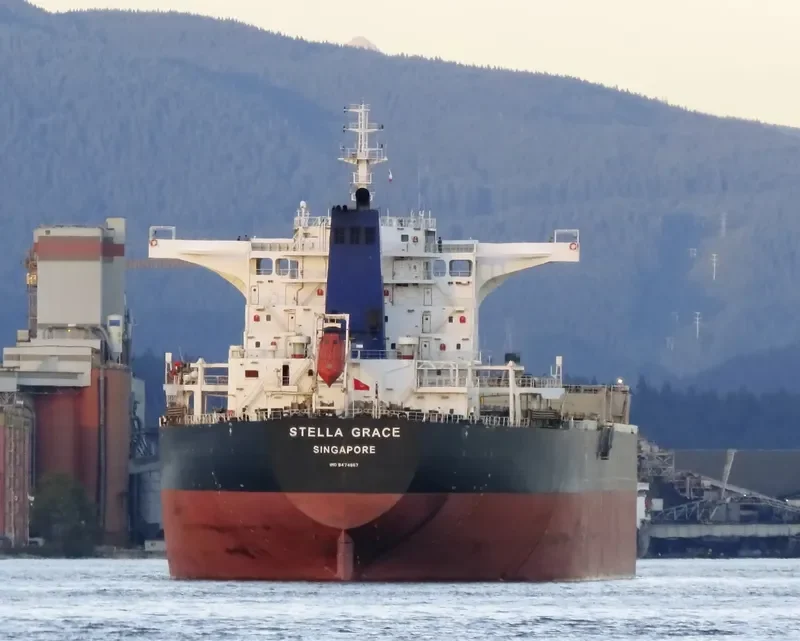 PACIFIC SOUTH Bulk Carrier IMO 9474967
