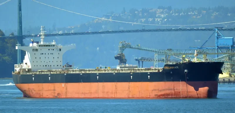 PACIFIC SOUTH Bulk Carrier IMO 9474967 photo 3