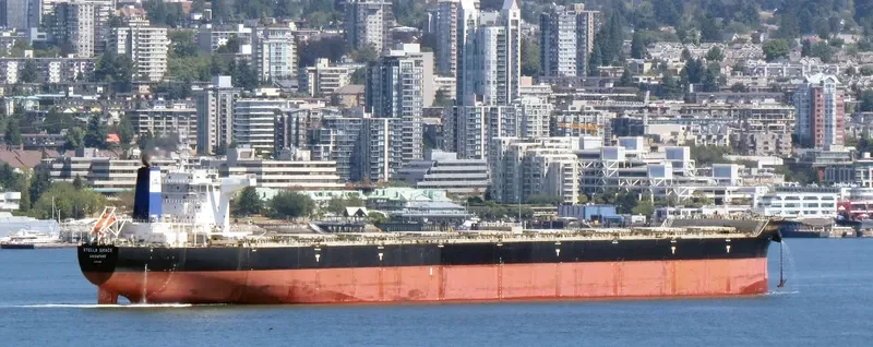 PACIFIC SOUTH Bulk Carrier IMO 9474967 photo 4