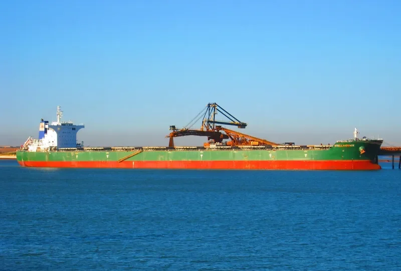 PACIFIC SOUTH Bulk Carrier IMO 9474967 photo 5