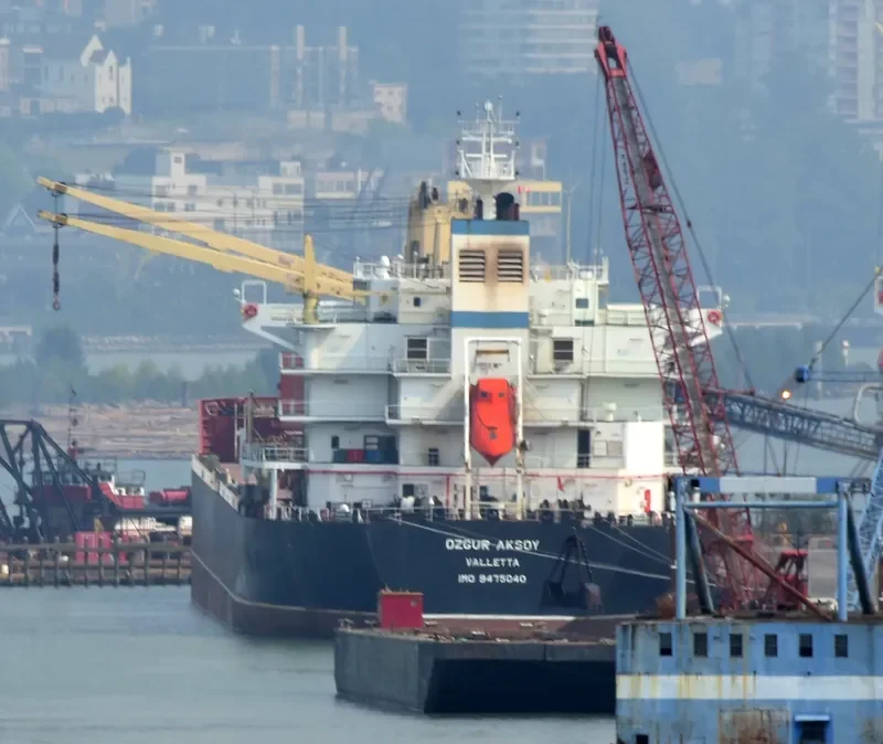 OZGUR AKSOY Bulk Carrier IMO 9475040 photo 2