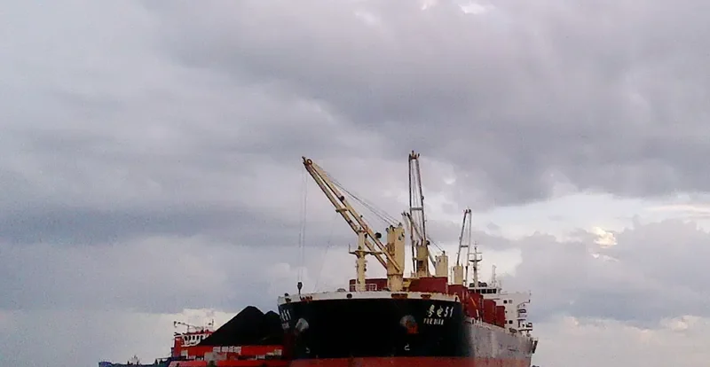 YUE DIAN 51 Bulk Carrier IMO 9475521 photo 3