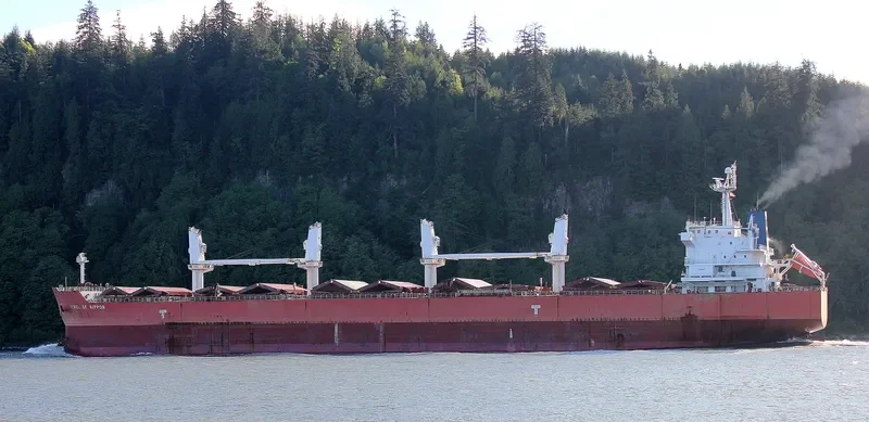 TASSOS N Bulk Carrier IMO 9476288 photo 2