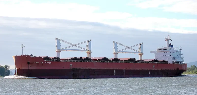 TASSOS N Bulk Carrier IMO 9476288 photo 3