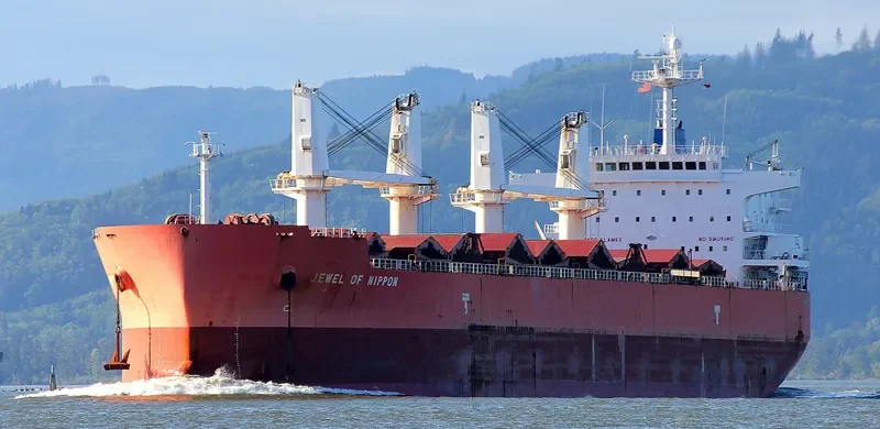 TASSOS N Bulk Carrier IMO 9476288 photo 4