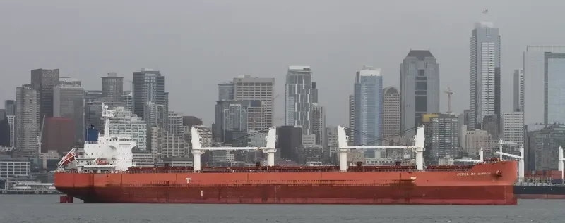 TASSOS N Bulk Carrier IMO 9476288 photo 6